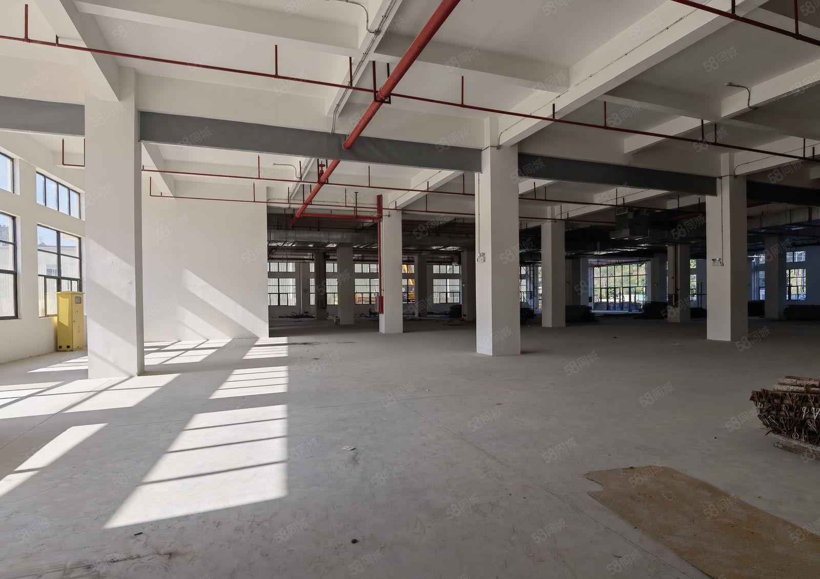 惠东白花全新红本标准园区5万平厂房出租 形象好 玻璃外墙