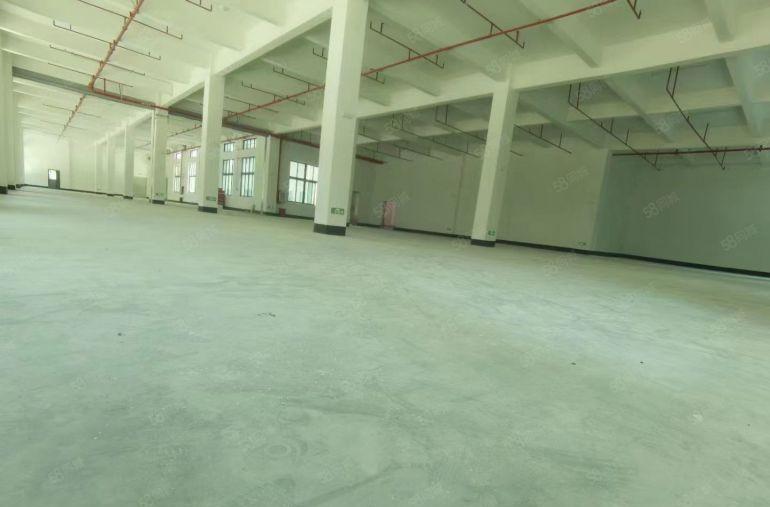 惠州市全新红本独门独院厂房9千平招租无公摊独立变压器