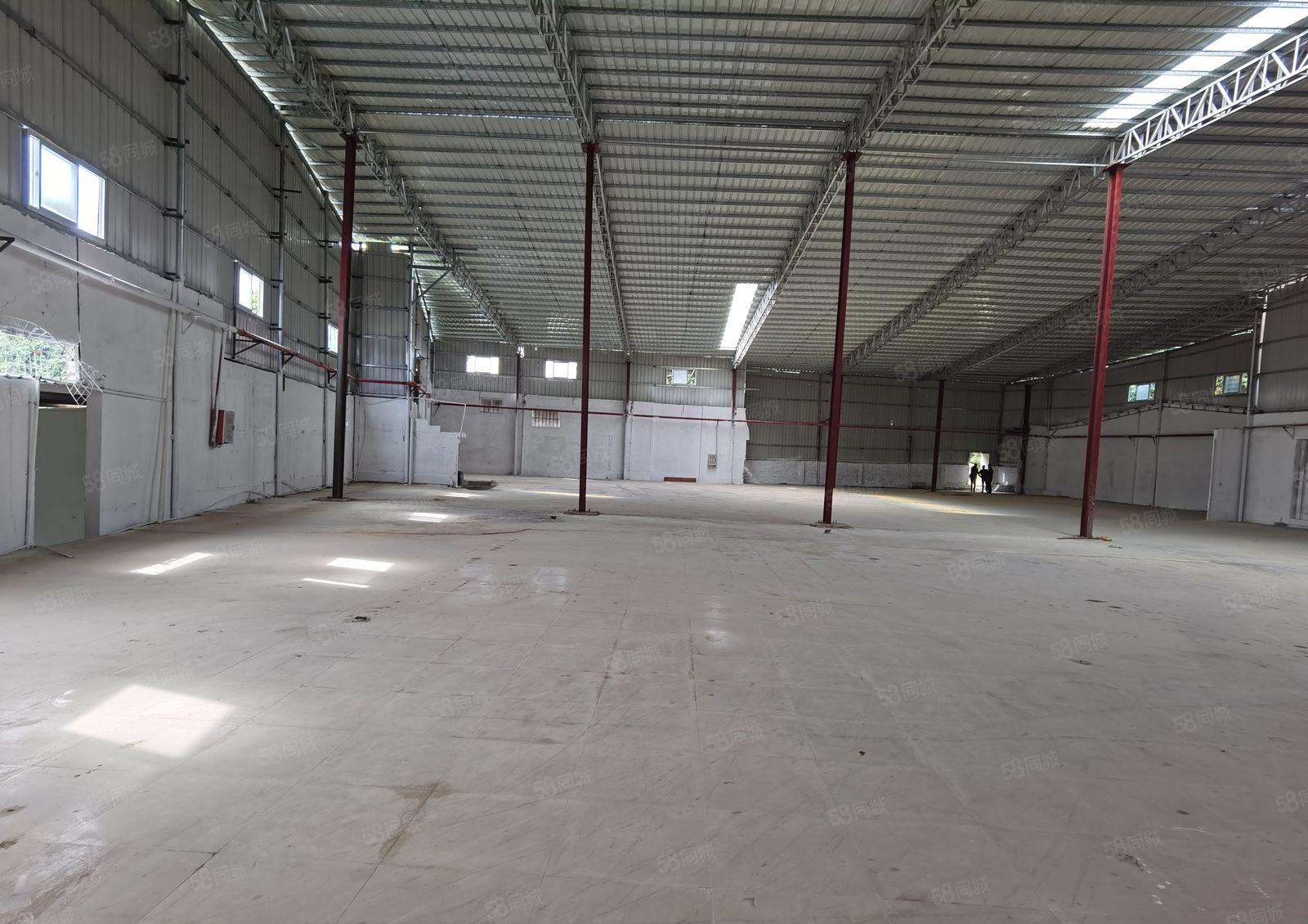 惠东县白花镇高速路口钢结构厂房滴水六米高2000平方出租