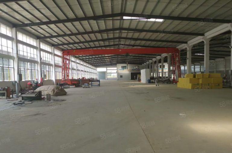 惠东9米高单一层厂房11500平方，可以分租