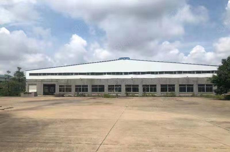 惠东单一层钢构厂房出租3万平滴水8米物流仓库出租分租缷货平台