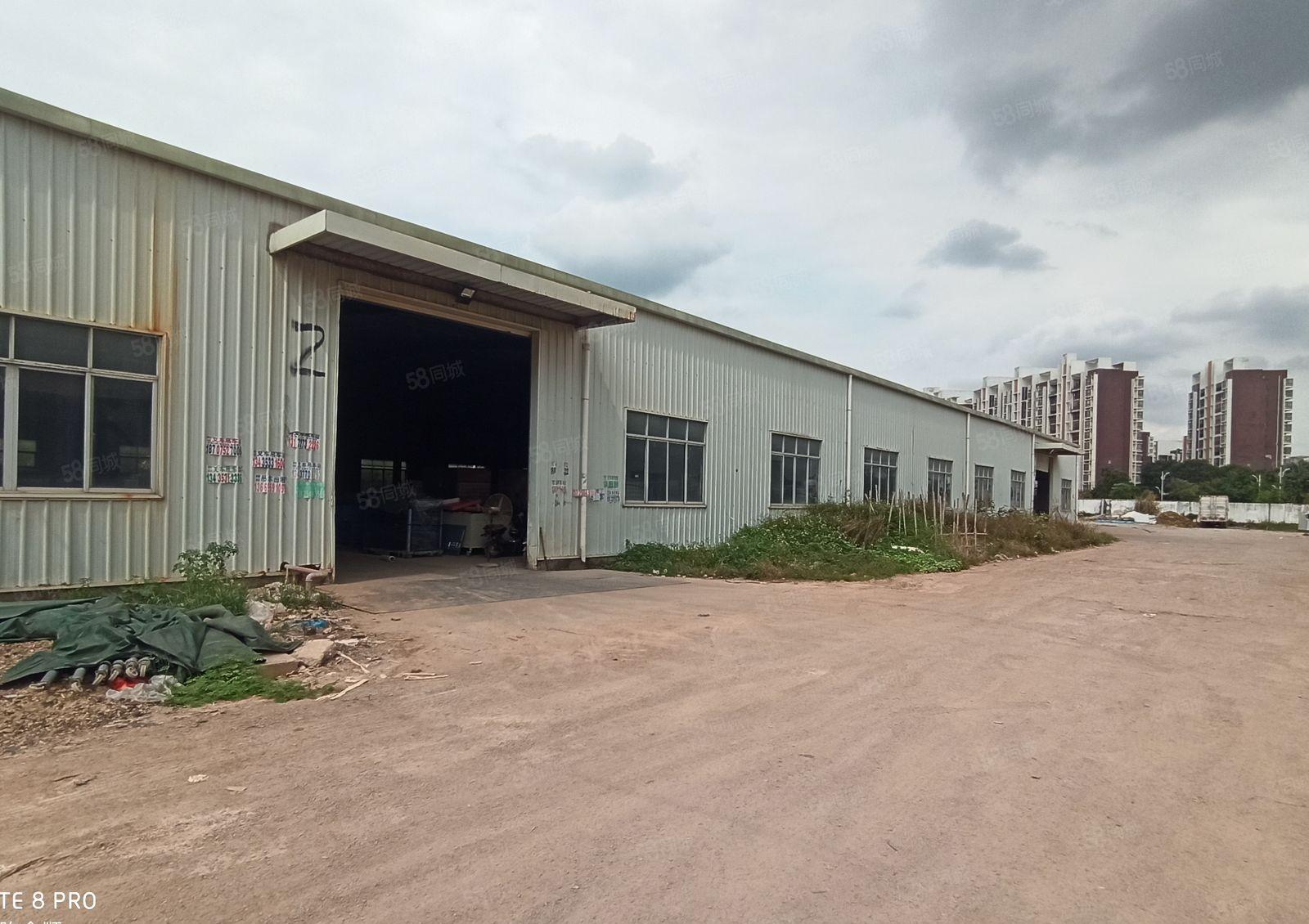 惠东平山7米高铁皮厂房2000平，可以分租