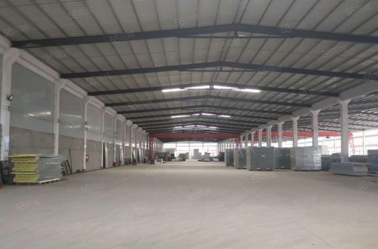 惠东9米高单一层厂房11500平方，可以分租