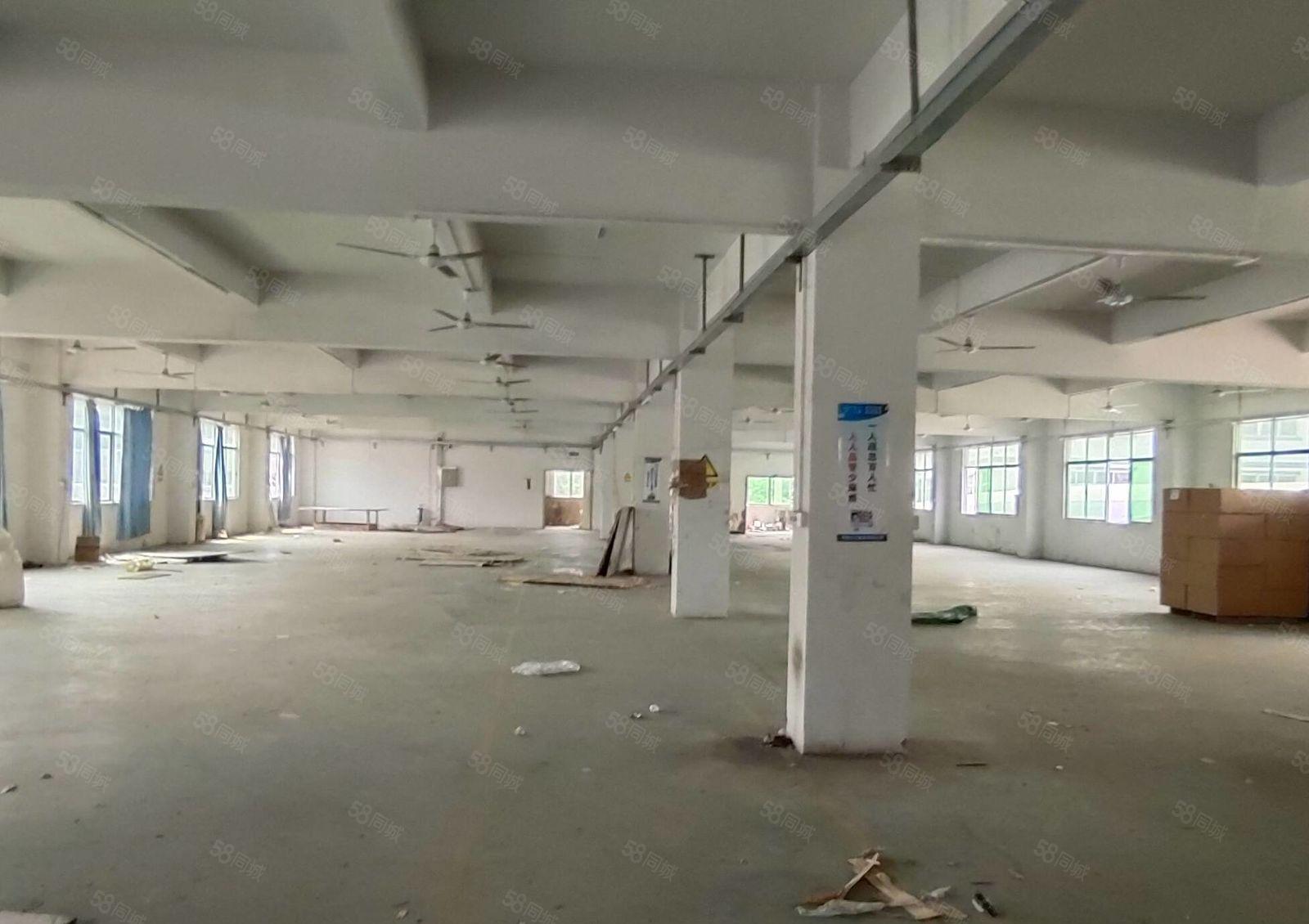惠东大岭爱尚百货附近工业园厂房一楼1200平