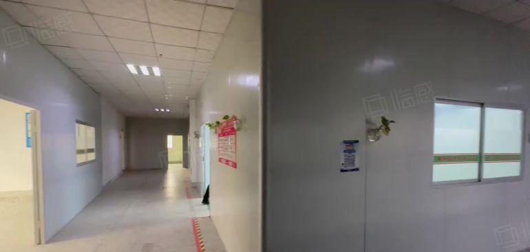 8元大岭厂房出租800平楼上精装厂房原房东低价出租红本带环评