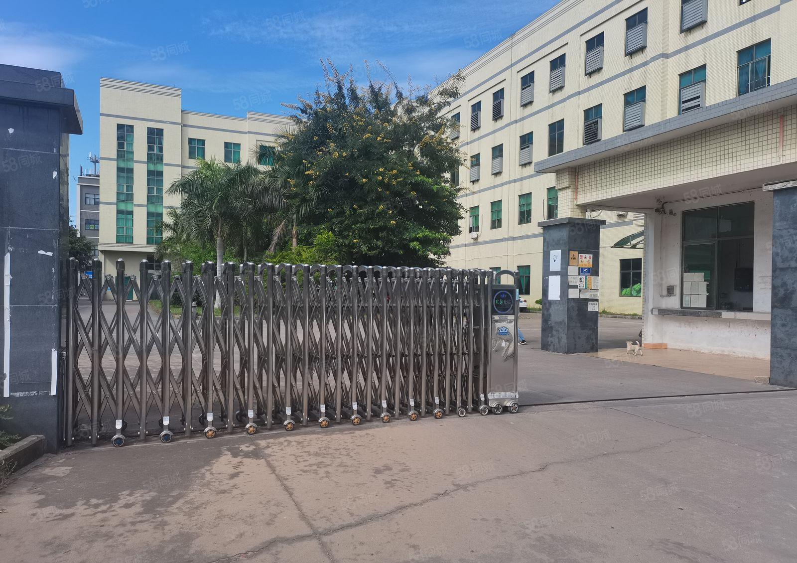 惠州惠东大岭独院厂房8000 平米厂房出租原房东出租可分租