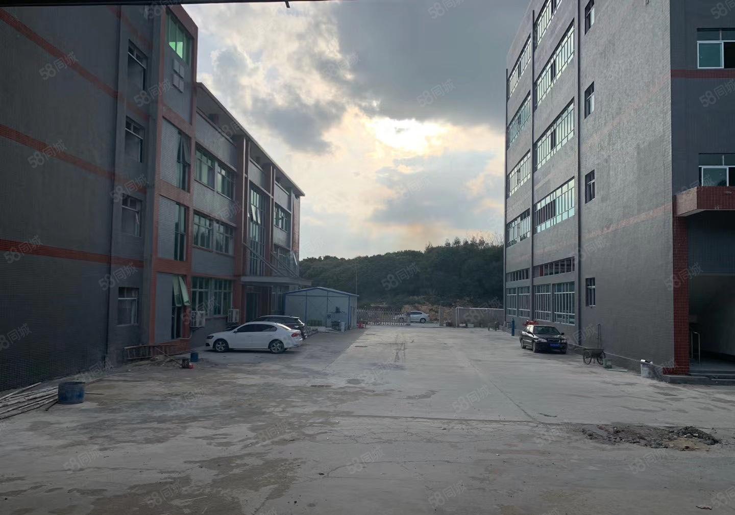 惠东 白花镇 大型工业区 1000平2000平实际面积原房东