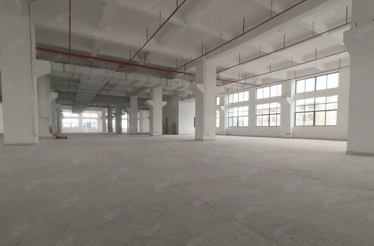 白花出租楼上厂房3650平米租金5元