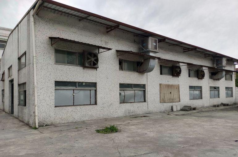 惠东白花特价10元一楼厂房