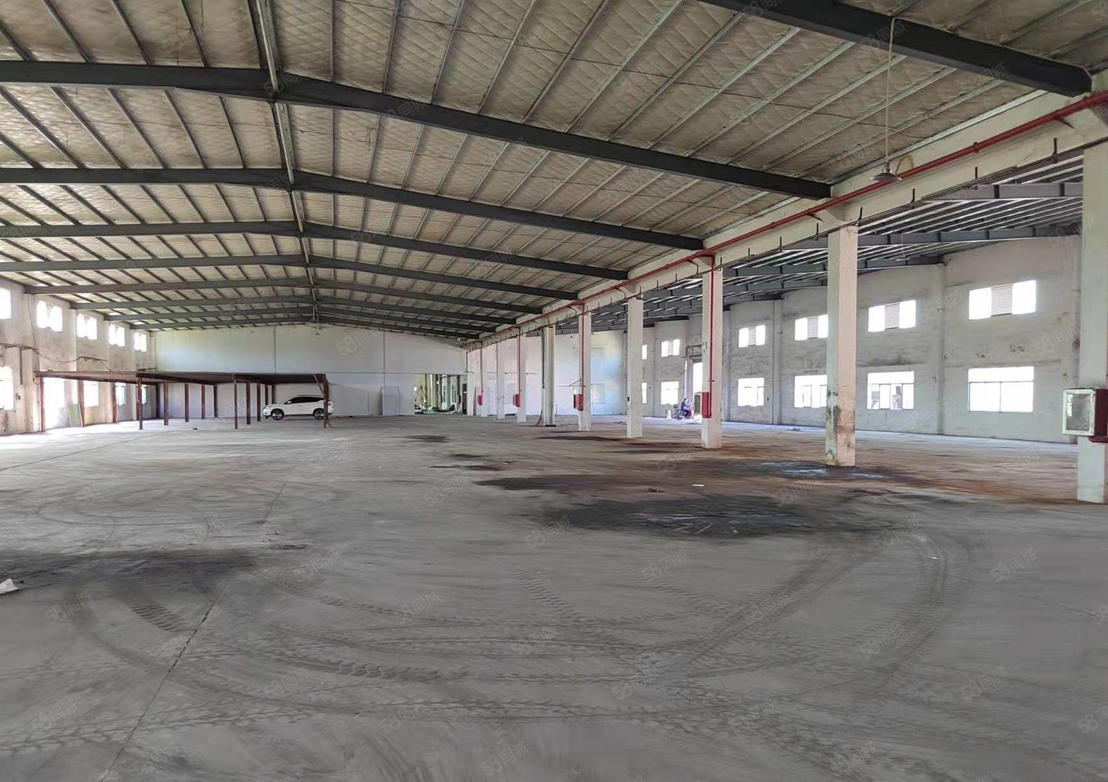 惠东全新钢构厂房出租 三万平方 大小可分租 交通便