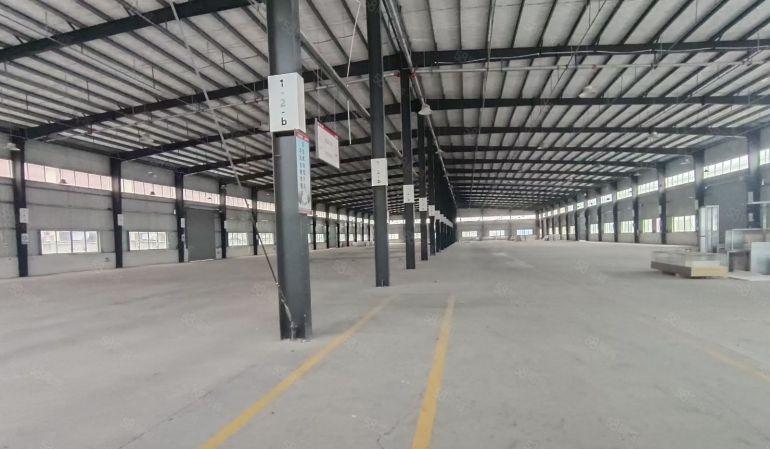 惠东县白花国道旁原房东独栋钢结构滴水九米6000平方厂房出租