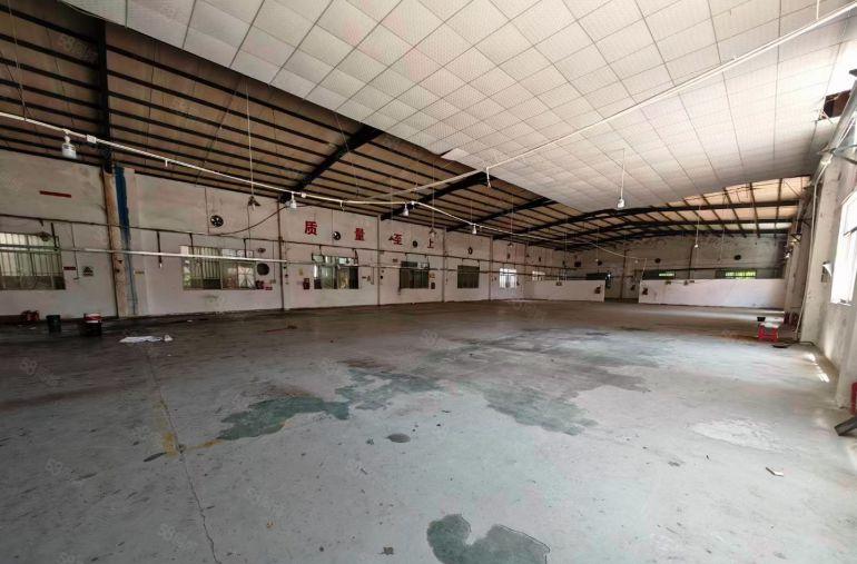 惠东白花特价10元一楼厂房