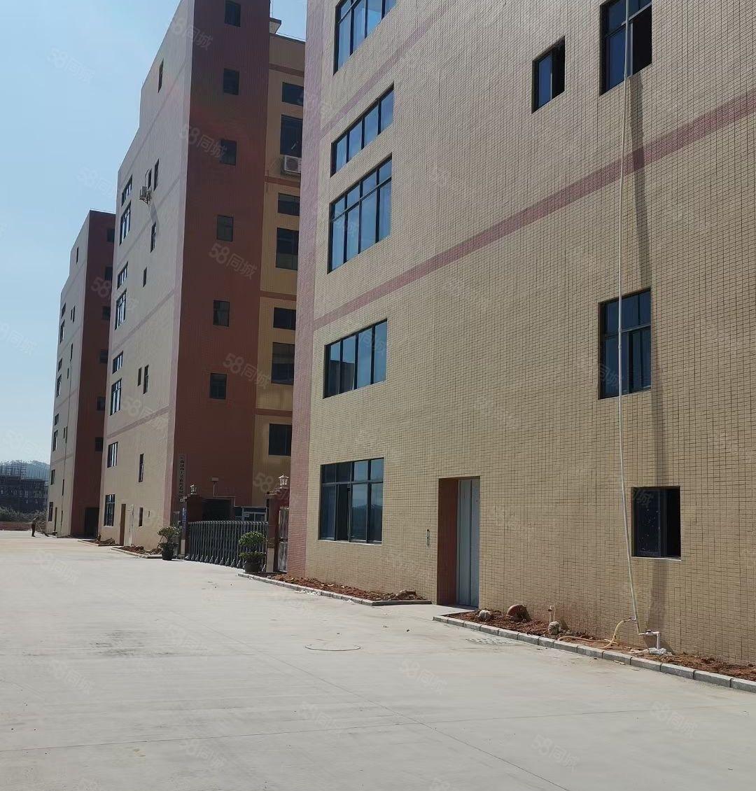 出租惠东大岭13230平方工业厂房，可办环评有专变，15元