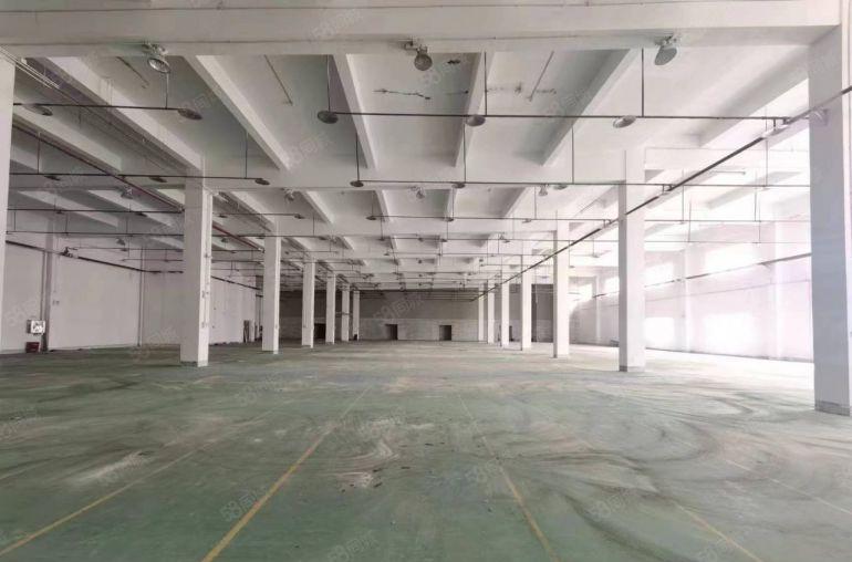 现成塑胶环评，惠东白花红本独院标准加钢构厂房招租