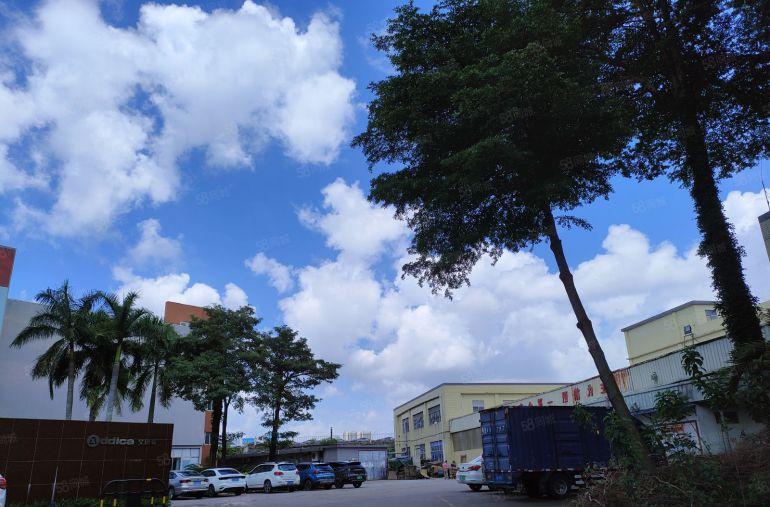 惠东大岭8元起低价厂房出租3000平方仓库一楼出租可办环评