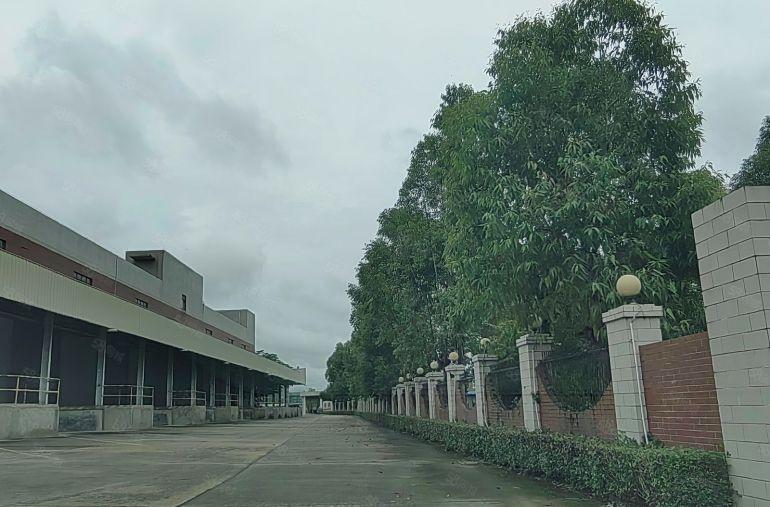 惠东县大岭镇4.5万平方红本单层钢构厂房，5.5万平空地配套