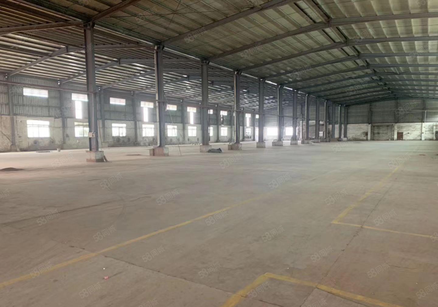 惠州市惠东县带红本钢构厂房招租，500平米起分