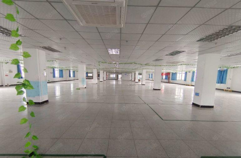 仲陈江原房东独栋厂房出租 带精装修 单层面积1712平