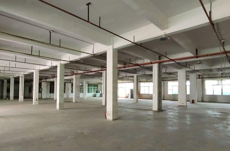 25000平方单一层厂房低价出租，可分租