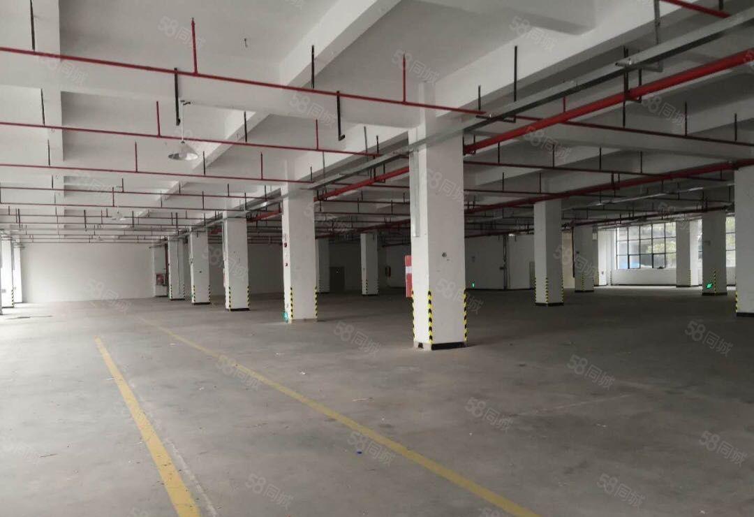 陈江独院圣帞高新材料厂6900平带装修高标准有环评原房东招租