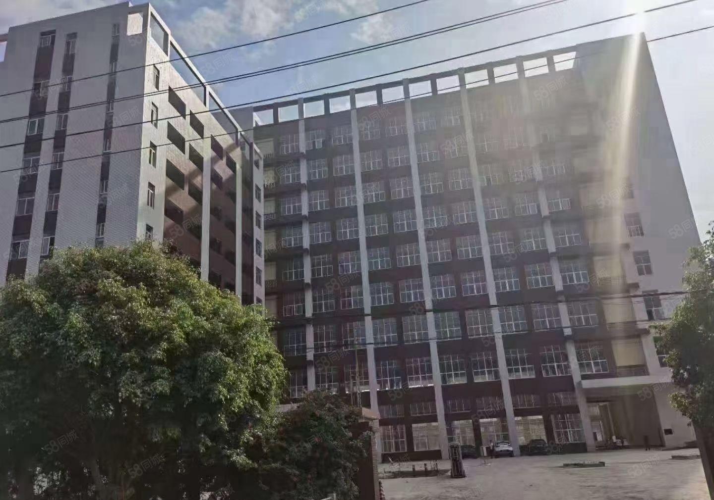 惠州市仲恺高新区TCL全新标准厂房35800平米招租大小可分