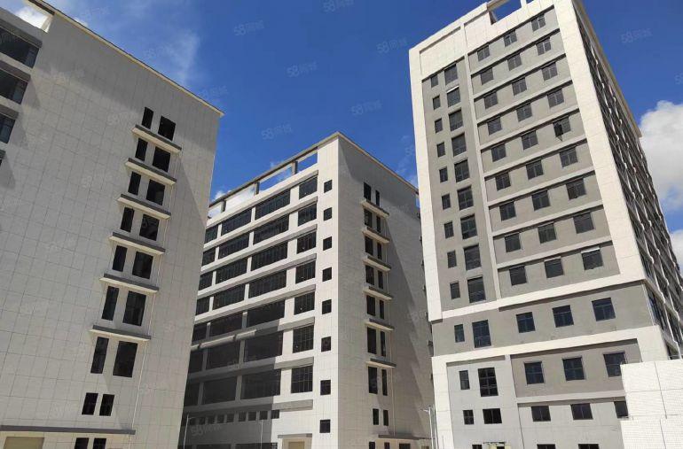 仲恺陈江全新厂房出租低价大小可分租可环评重工业标准厂房空地大