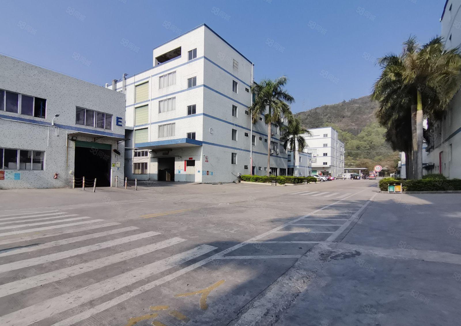 仲恺潼侨镇深新工业区一楼2000平标准厂房招租一手房东带主线