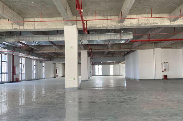 仲恺陈江全新标准楼上厂房1200平 四面彩光 阳台超大