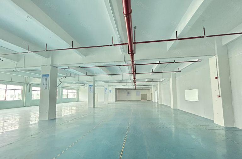 6元！仲恺陈江新出原房东精装修3楼1700平厂房仓库出租可分