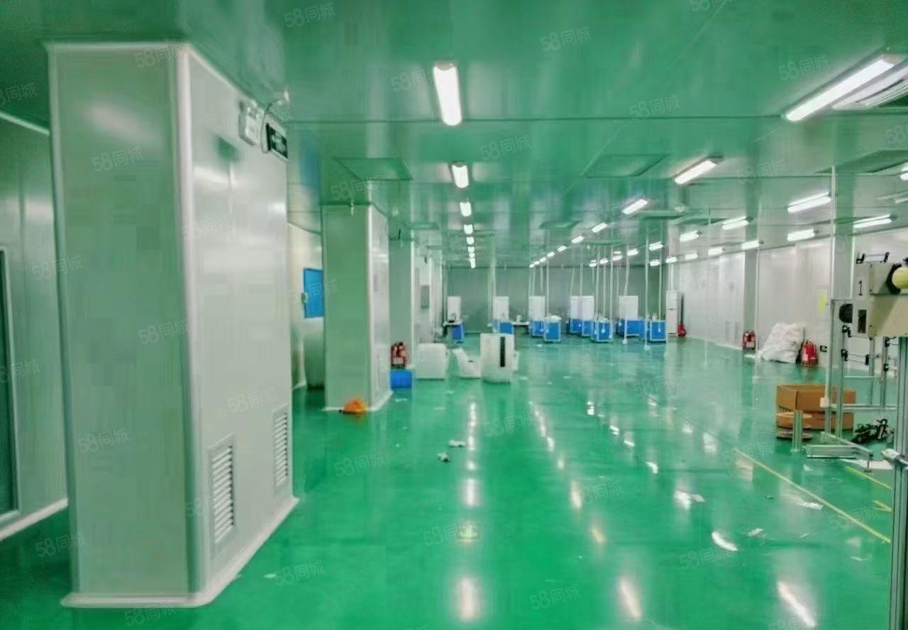 仲恺高新区惠环镇TCL附近1000平方带装修厂房出租