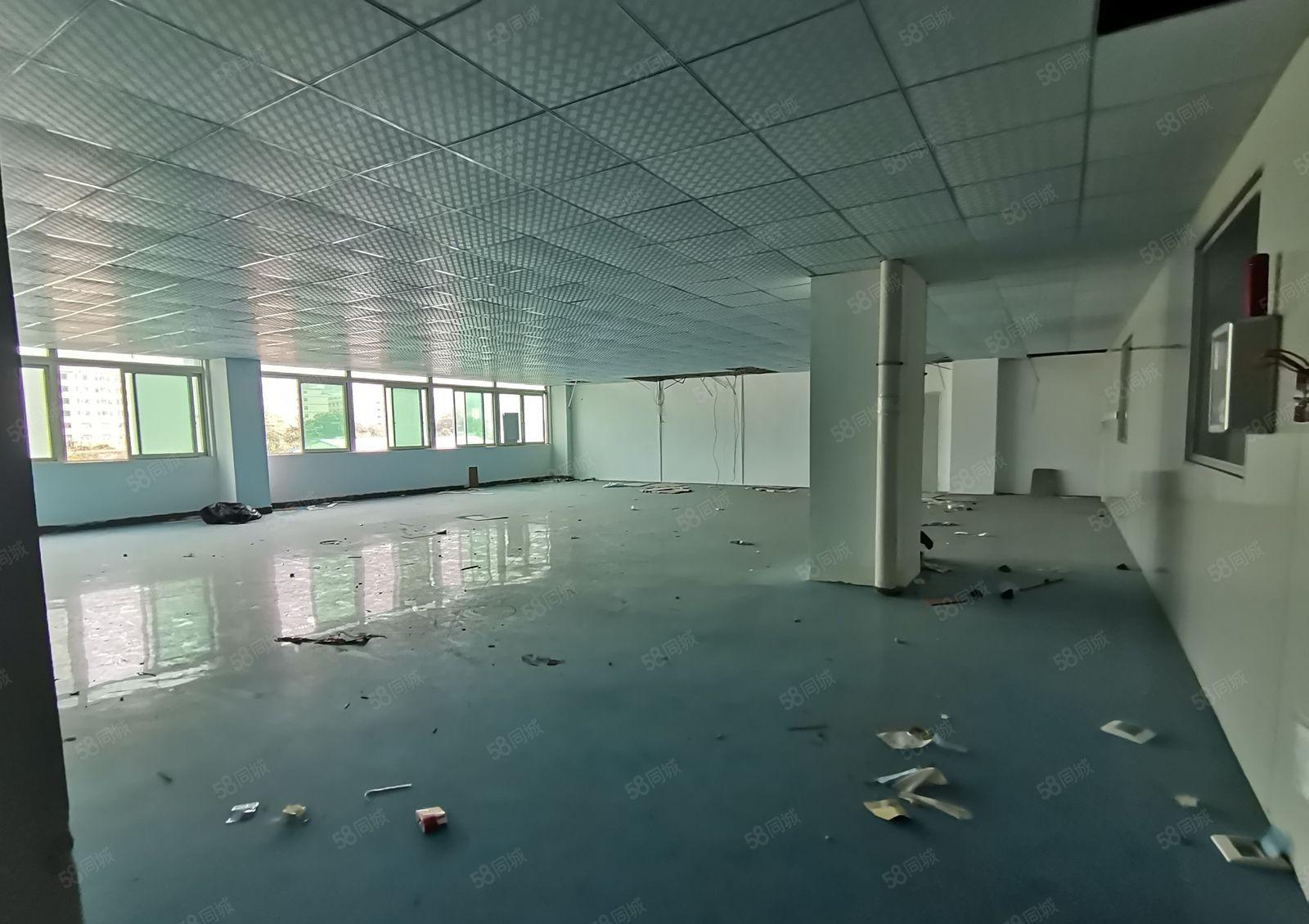 全新精装修环氧自流平地坪漆风淋无尘车间原房东低价出租14元