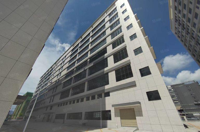 仲恺陈江全新厂房出租低价大小可分租可环评重工业标准厂房空地大