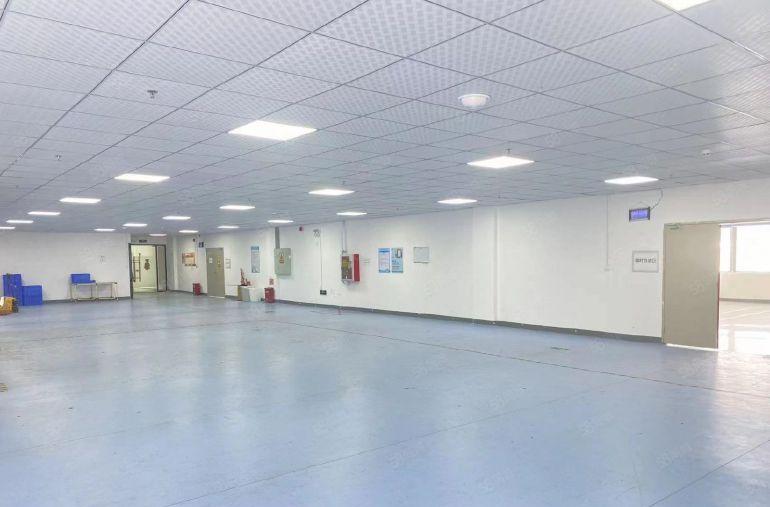 陈江高新区精装厂房楼上有红本工业厂房大小面积分租500平起