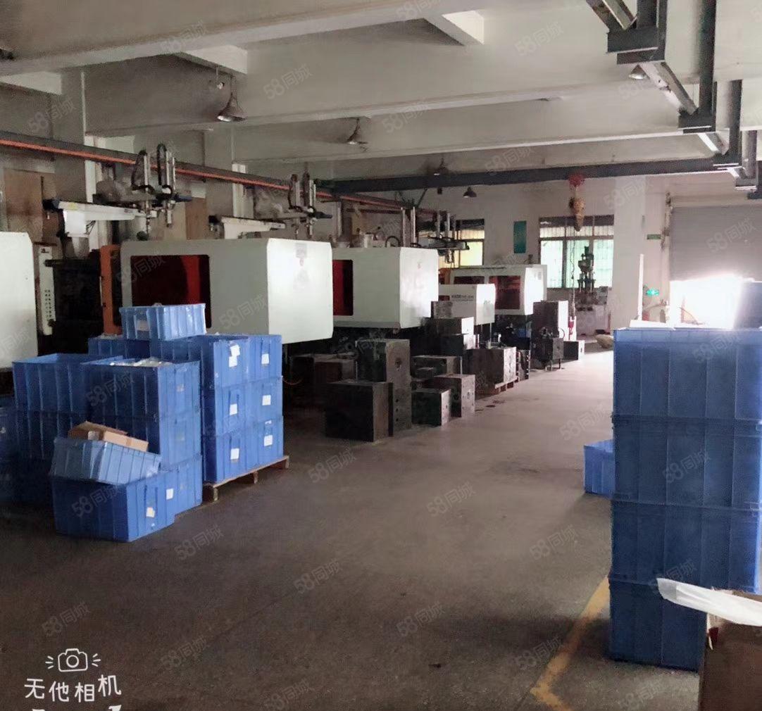 潼桥原房东独院标准厂房总面积5600平方可按需分租