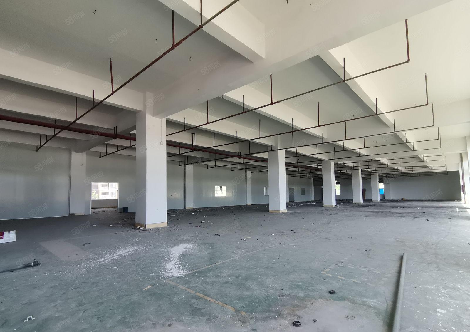 惠台原房东实际面积出租1500平方带精装修