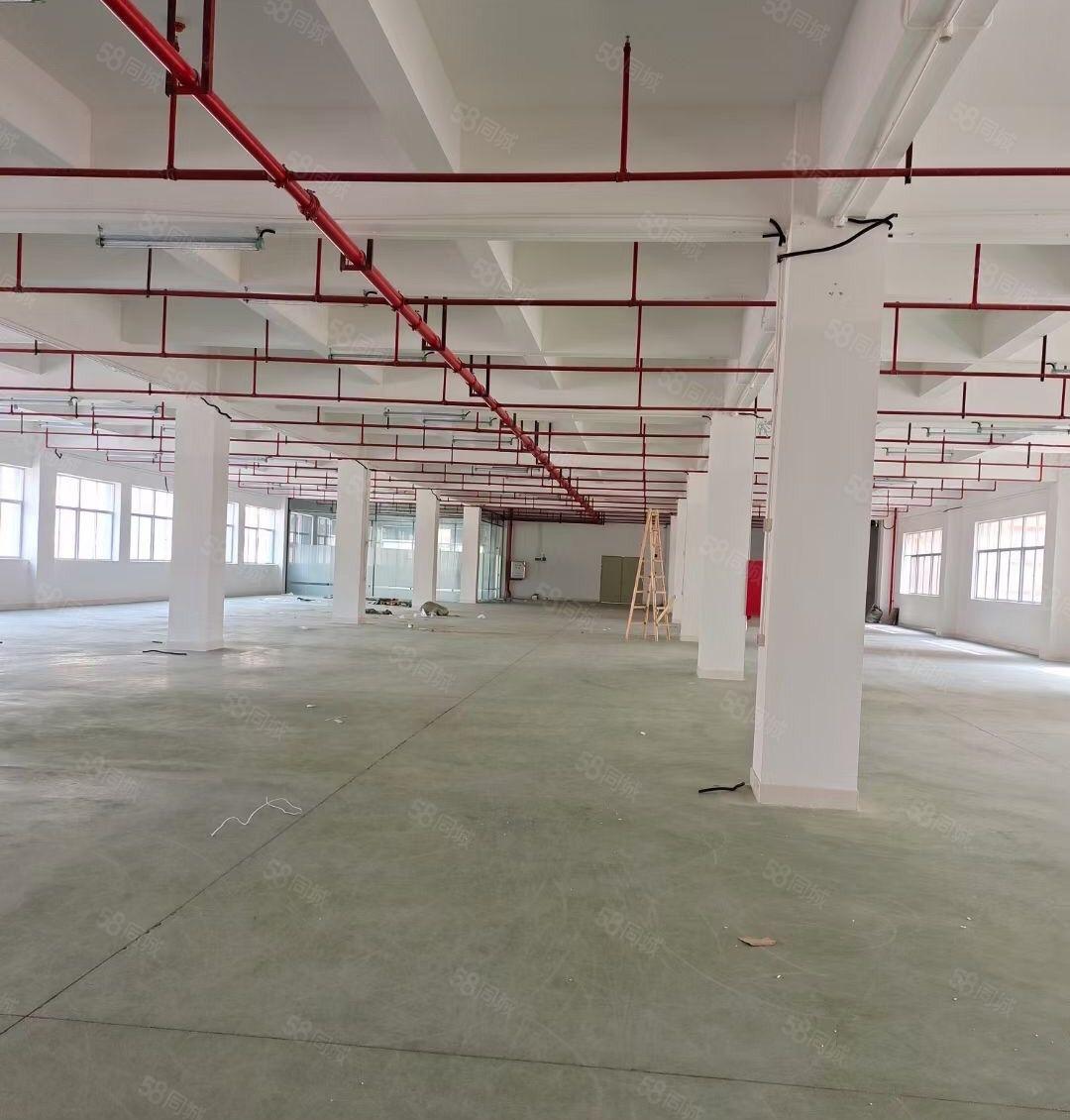 500平起租陈江五一楼上标准厂房1000平1500平出租