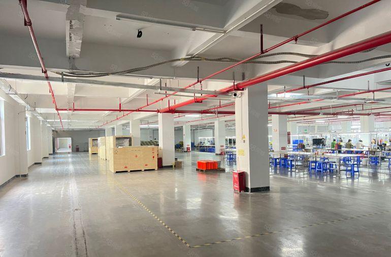 仲恺新出原房东2000平米厂房仓库年前低价出租免租期长带装修