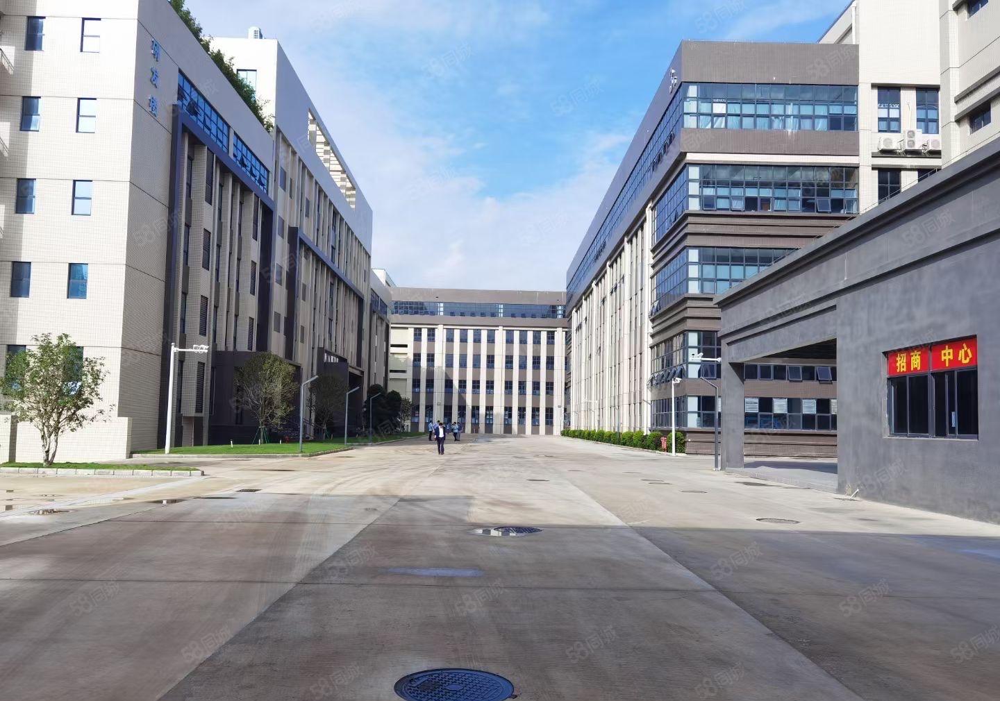 仲恺陈江可做喷油或电池园区厂房