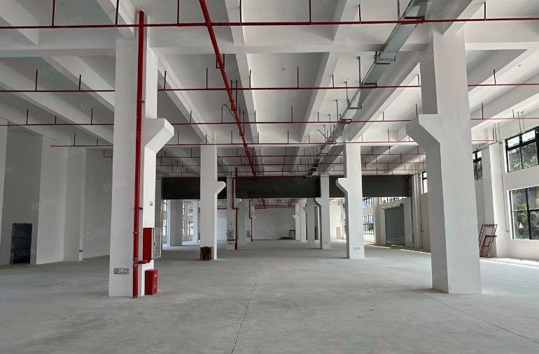 仲恺新出原房东独栋厂房2000平带消防喷淋大小可分租空地大