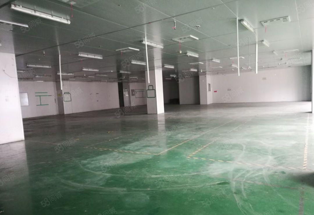 仲恺高新区带装修无尘车间2200平可分租
