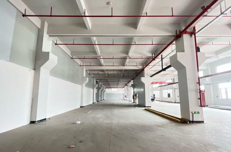 仲恺新出6000平米带航车装修厂房仓库低价出租空地大可分租！