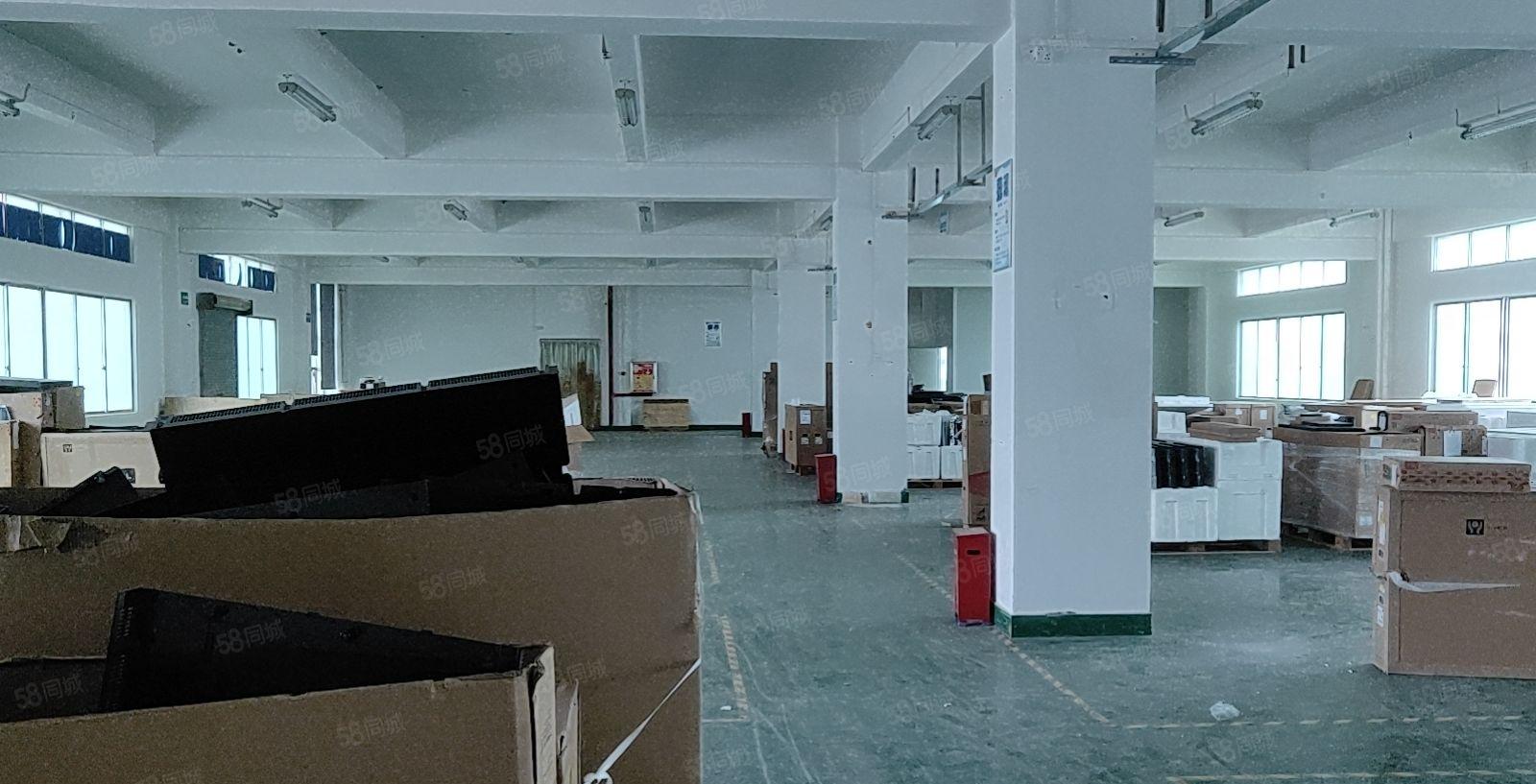 陈江灯饰聚集地工业园区厂房2500平米出租可分租