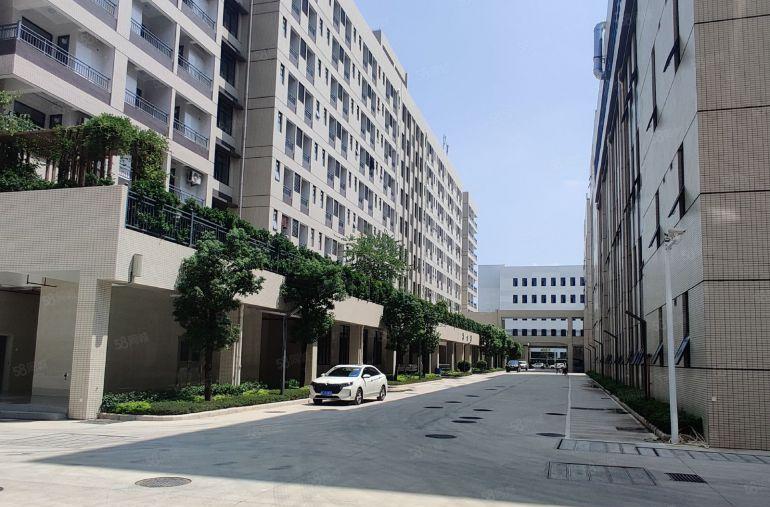 仲恺陈江原房东自建红本厂房仓库10元低价出租形象好空地大