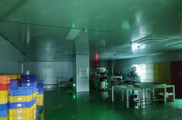 惠环食品级无尘车间无转让费基本全新拎包入住1000平方