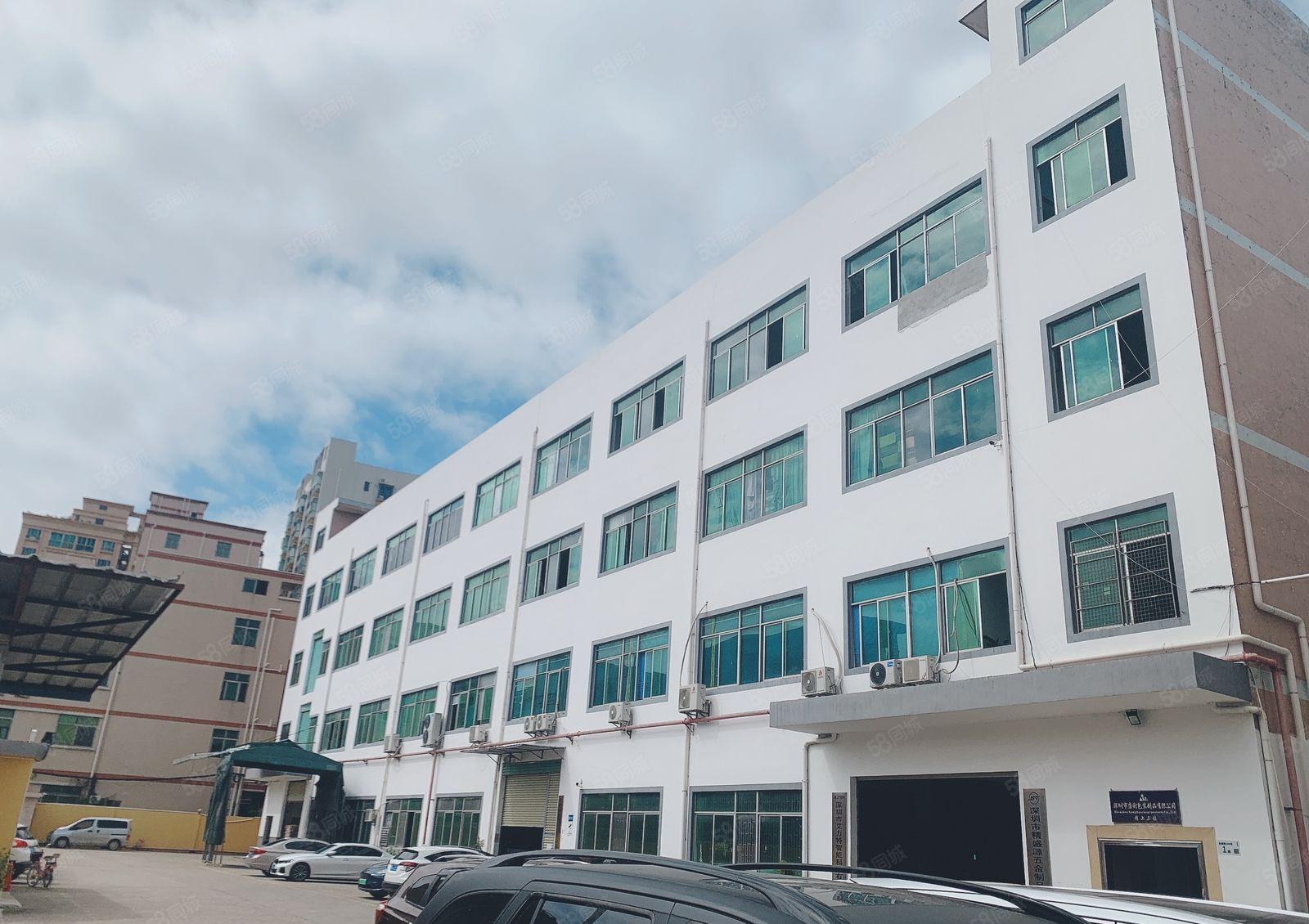 仲恺陈江独门独院4000平高6米原房东红本仓库厂房200起