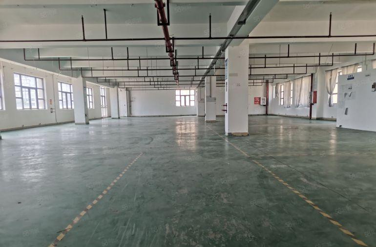 仲恺惠环500平起分租精装红本厂房仓库2楼2000平可分租