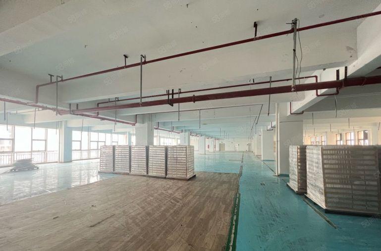 仲恺工业园新空现成装修带地坪漆办公室水电齐全厂房仓库低价出租