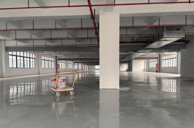 10元！仲恺高新区5000平原房东红本实际面积厂房仓库出租