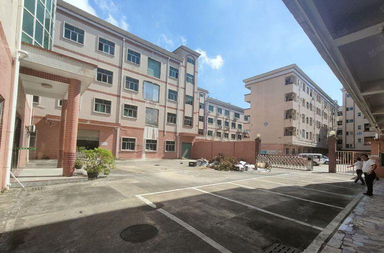 仲恺陈江原房东独院仓库厂房出租3000平500起分租一楼6米