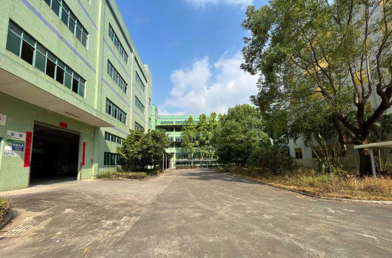 仲恺陈江原房东大型产业园标准厂房单层2000平多层招租